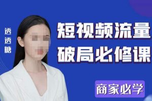 2023最新透糖短视频流量破局必修课——商家必学-沐风资源库