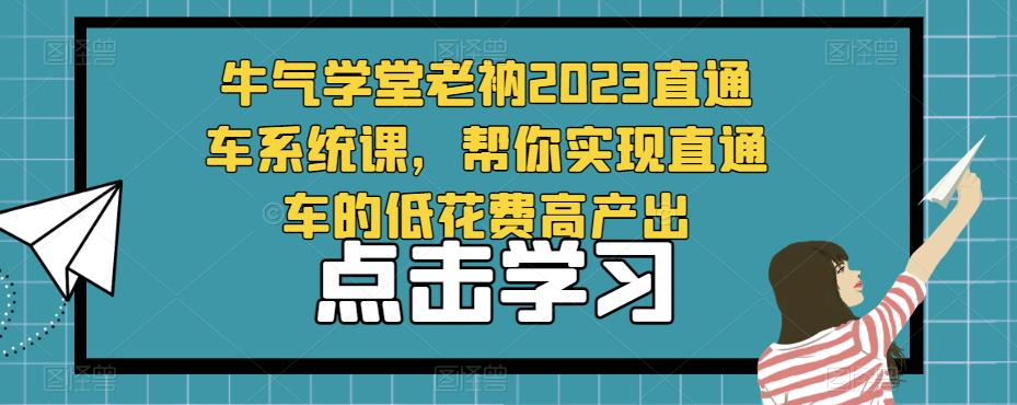 牛气学堂老衲2023直通车系统课，帮你实现直通车的低花费高产出-沐风资源库