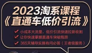 2023直通车低价引流玩法课程，小成本大流量，低价引流快速拉新收割，让你快速掌握直通车突破瓶颈-沐风资源库