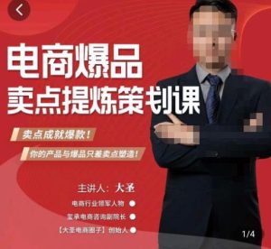 大圣·电商标品爆款卖点策划课，标品卖点成就爆款，可落地卖点提炼课-沐风资源库