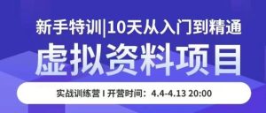 虚拟资料项目新手特训，10天从入门到精通，保姆级实操教学-沐风资源库