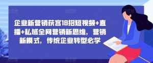 企业新营销获客18招短视频+直播+私域全网营销新思维,营销新模式,传统企业转型必学-沐风资源库