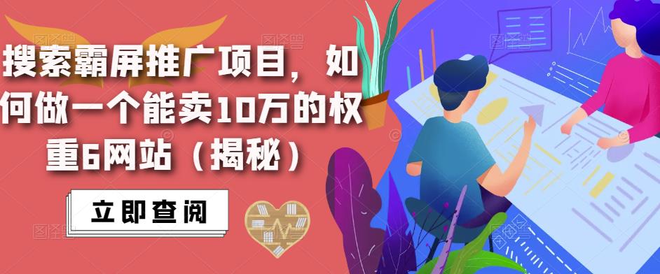 搜索霸屏推广项目，如何做一个能卖10万的权重6网站（揭秘）-沐风资源库