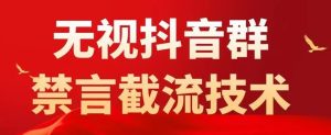 外面卖1500抖音粉丝群无视禁言截流技术，抖音黑科技，直接引流，0封号-沐风资源库