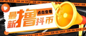 外面收费598的最新pdd无限白嫖抖币项目揭秘，简单暴利【仅揭秘】-沐风资源库