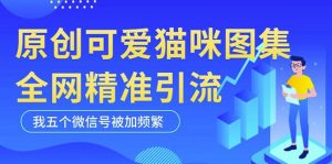 黑科技纯原创可爱猫咪图片，全网精准引流，实操5个VX号被加频繁-沐风资源库
