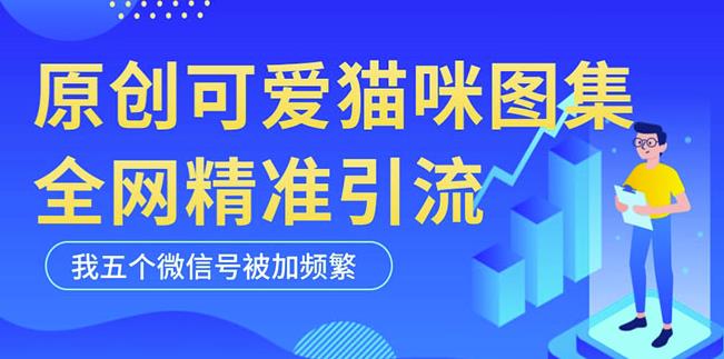 黑科技纯原创可爱猫咪图片，全网精准引流，实操5个VX号被加频繁-沐风资源库