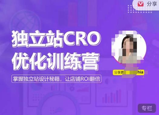 独立站CRO优化训练营，掌握独立站设计秘籍，打造高转化的独立站，让店铺ROI翻倍-沐风资源库