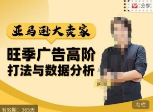 阿甘·亚马逊大卖家广告高阶打法与数据分析，走出传统广告误区；揭秘大卖惯用打法；数据驱动广告决策-沐风资源库