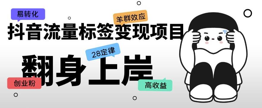 抖音流量标签变现项目，抖音创业粉轻松转化，单价高收益简单-沐风资源库