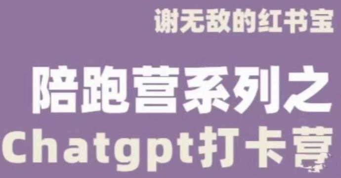 谢无敌ChatGPT打卡营，教你更好地使用ChatGPT来提高工作效率-沐风资源库
