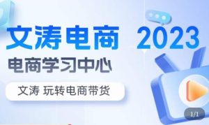 文涛电商·7天零基础自然流起号，​快速掌握店铺运营的核心玩法，突破自然展现量，玩转直播带货-沐风资源库