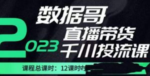 数据哥2023直播电商巨量千川付费投流实操课，快速掌握直播带货运营投放策略-沐风资源库