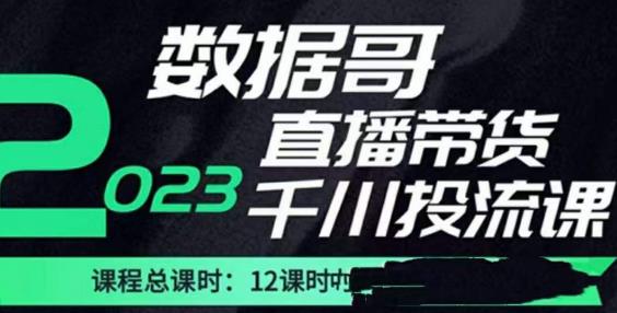 数据哥2023直播电商巨量千川付费投流实操课，快速掌握直播带货运营投放策略-沐风资源库