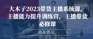大木子2023带货主播系统课，主播能力提升训练营，主播带货必修课-沐风资源库