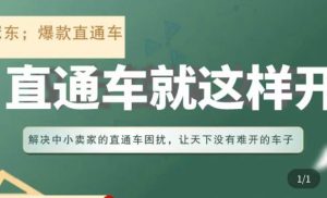 冠东·淘系直通车保姆级教程，全面讲解直通车就那么简单-沐风资源库