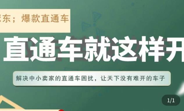 冠东·淘系直通车保姆级教程，全面讲解直通车就那么简单-沐风资源库