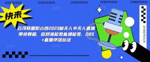 云顶联盟彭小四2023新无人半无人直播带货教程，自然流起号鱼塘起号，OBS+直播伴侣玩法-沐风资源库