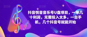 抖音音乐号U盘项目，一单几十利润，无需投入太多，一台手机，几个抖音号就能开始-沐风资源库
