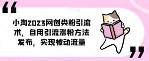 ​小淘2023网创类粉引流术，自用引流涨粉方法发布，实现被动流量-沐风资源库