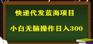 2023最新蓝海快递代发项目，小白零成本照抄也能日入300+-沐风资源库