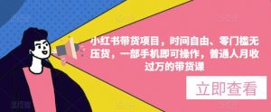 小红书带货项目，时间自由、零门槛无压货，一部手机即可操作，普通人月收过万的带货课-沐风资源库
