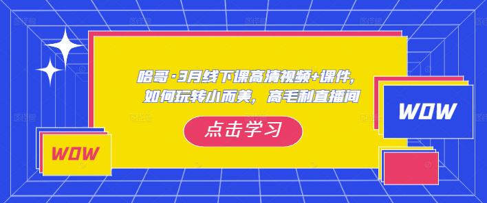 哈哥·3月线下实操课高清视频+课件，如何玩转小而美，高毛利直播间-沐风资源库