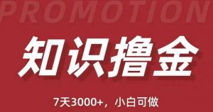 抖音知识撸金项目：简单粗暴日入1000+执行力强当天见收益(教程+资料)-沐风资源库
