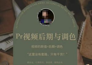 Pr视频后期与调色，视频颜值=后期+调色，这里没有套路，只有干货！-沐风资源库