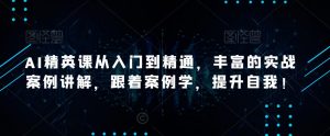 AI精英课从入门到精通，丰富的实战案例讲解，跟着案例学，提升自我！-沐风资源库