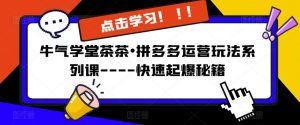 牛气学堂茶茶•拼多多运营玩法系列课—-快速起爆秘籍【更新】-沐风资源库