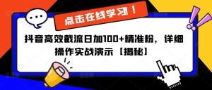 抖音高效截流日加100+精准粉，详细操作实战演示【揭秘】-沐风资源库