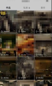 毒文案升级玩法，流量爆炸，5分钟一条原创作品，单个作品变现500+-沐风资源库