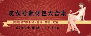 美女号素材包大合集，8000多个素材，一步到位助力男粉号！-沐风资源库