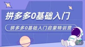 拼多多运营0-1实操特训营，拼多多0基础入门，从基础到进阶的可实操玩法-沐风资源库