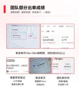 2023小红书电商火爆全网，新晋红利，风口项目，单店收益在3000-30000！-沐风资源库