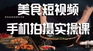 烁石·美食视频手机拍摄实操课，​美食摄影理论、手机拍摄相关设置、剪辑调色、布光原理等内容-沐风资源库