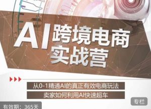 白龙老师·AI跨境电商实战营：从0-1精通Al的真正有效电商玩法，卖家如何利用Al快速超车-沐风资源库
