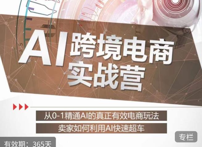 白龙老师·AI跨境电商实战营：从0-1精通Al的真正有效电商玩法，卖家如何利用Al快速超车-沐风资源库