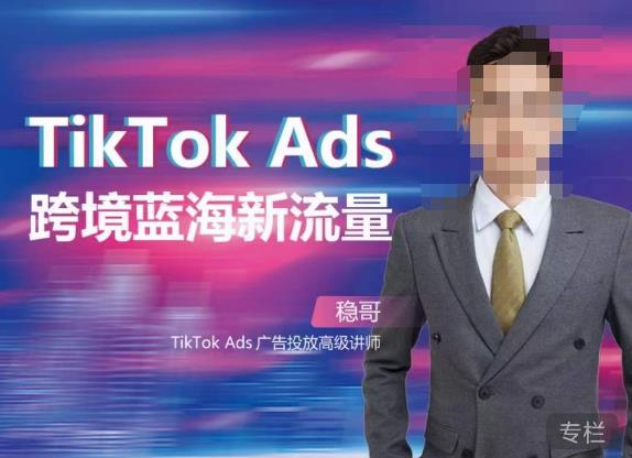 稳哥·如何投出高ROI的TikTok广告，开拓独立站卖家流量新蓝海-沐风资源库