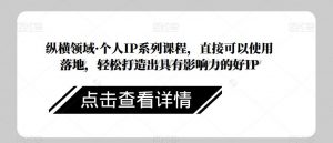 纵横领域·个人IP系列课程，直接可以使用落地，轻松打造出具有影响力的好IP-沐风资源库