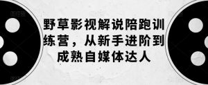 野草影视解说陪跑训练营，从新手进阶到成熟自媒体达人-沐风资源库
