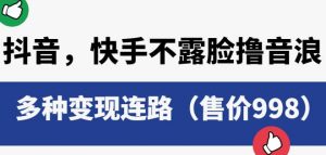 抖音快手不露脸撸音浪项目，多种变现连路（售价998）-沐风资源库