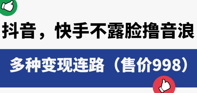 抖音快手不露脸撸音浪项目，多种变现连路（售价998）-沐风资源库