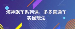 海神飙车系列课，多多直通车实操玩法-沐风资源库