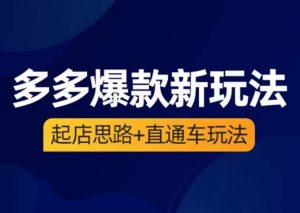 海神·多多爆款新玩法，​起店思路+直通车玩法（3节精华课）-沐风资源库