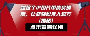 蹭这个IP切片带货实操版，让你轻松月入过万【揭秘】-沐风资源库
