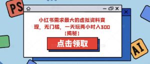 小红书需求最大的虚拟资料变现，无门槛，一天玩两小时入300+【揭秘】-沐风资源库