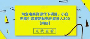淘宝电商资源代下项目，小白无需引流复制粘贴也能日入300＋【揭秘】-沐风资源库