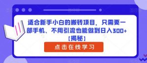适合新手小白的搬砖项目，只需要一部手机、不用引流也能做到日入300+【揭秘】-沐风资源库